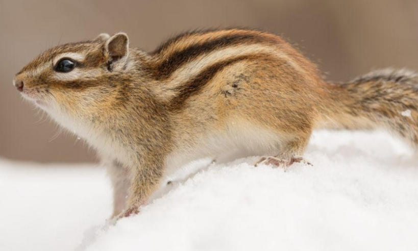 北京赛科安仪检测技术有限公司轮播图2