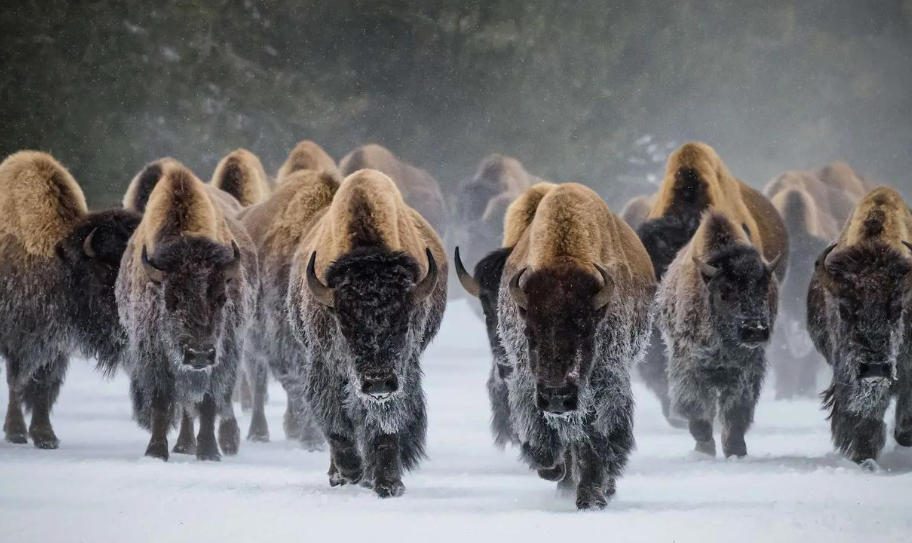 北京赛科安仪检测技术有限公司轮播图3